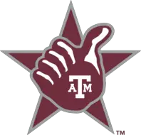 agroforesty in brazil program by eco caminhos texas a&m internship program