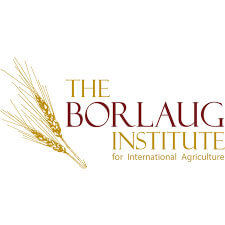 borlaug institute agroforesty brazil