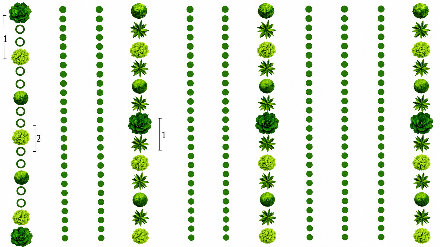 Agroforestry planting design showing rows of trees, shrubs, crops, and ground cover with different planting spacings