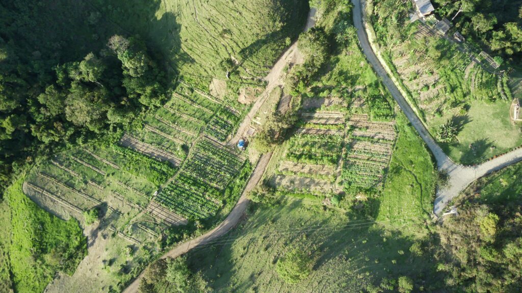 agroforestry-eco-farm-brazil