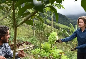Experiência prática na fazenda ecológica (4-7 dias)