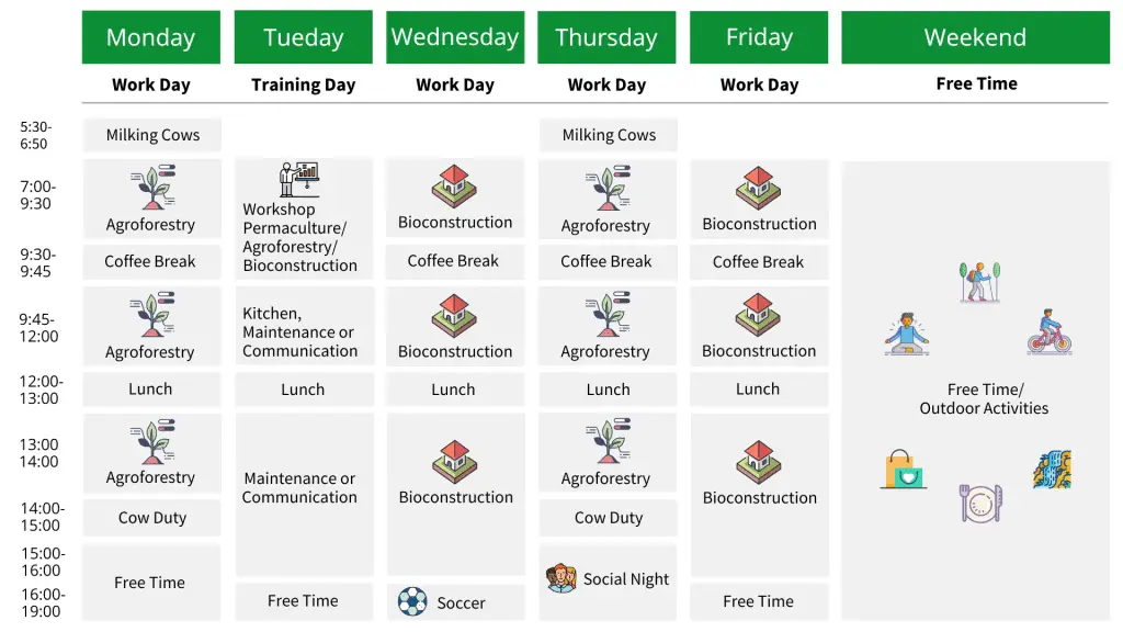 EN. Long Term Week Plan