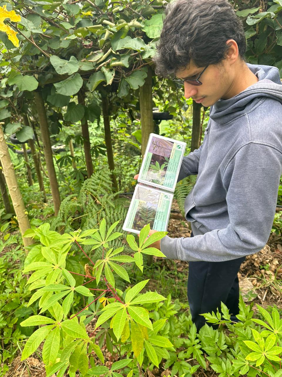 Volunteer holding plant catalog during treasure hunt and agroforestry species mapping at Ecolibrium Eco Caminhos, native flora identification Nova Friburgo Brazil