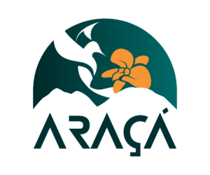 projeto araca