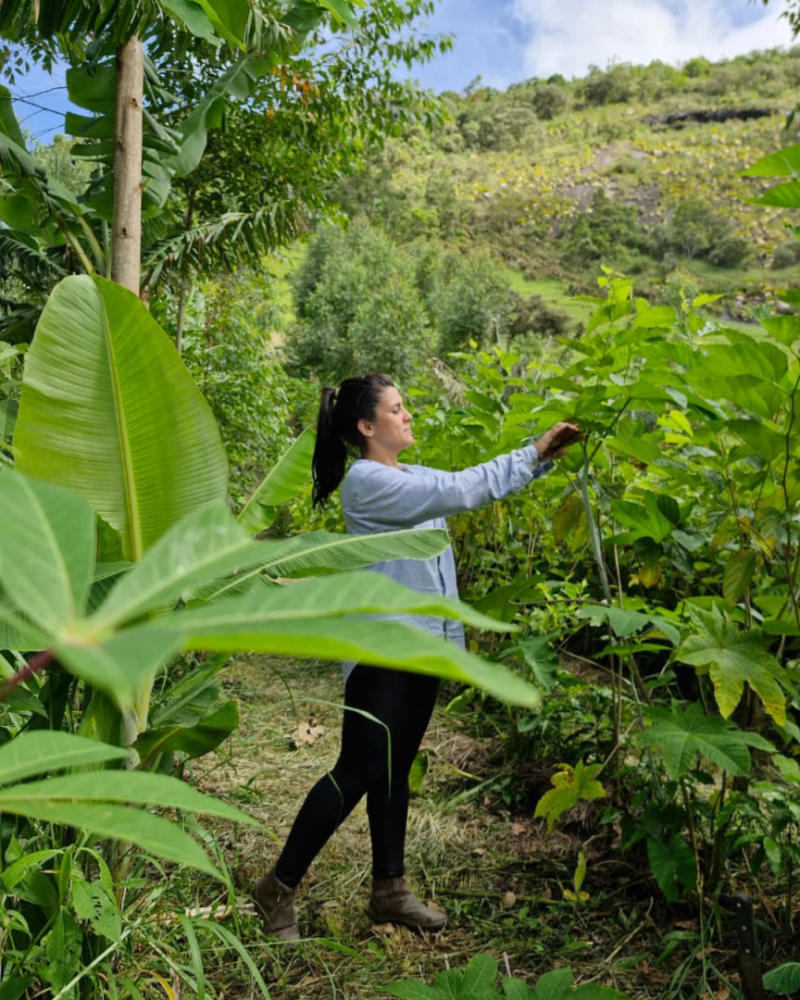 Vagas 2026 Open Positions 1 e1772707645583