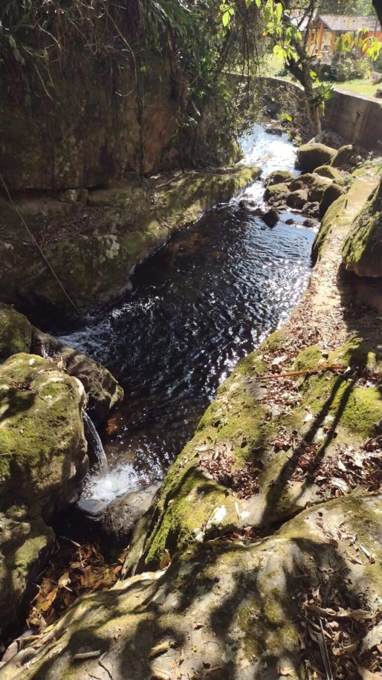 **Alt text:** Waterfall surrounded by lush greenery near the volunteer house at an eco farm.
