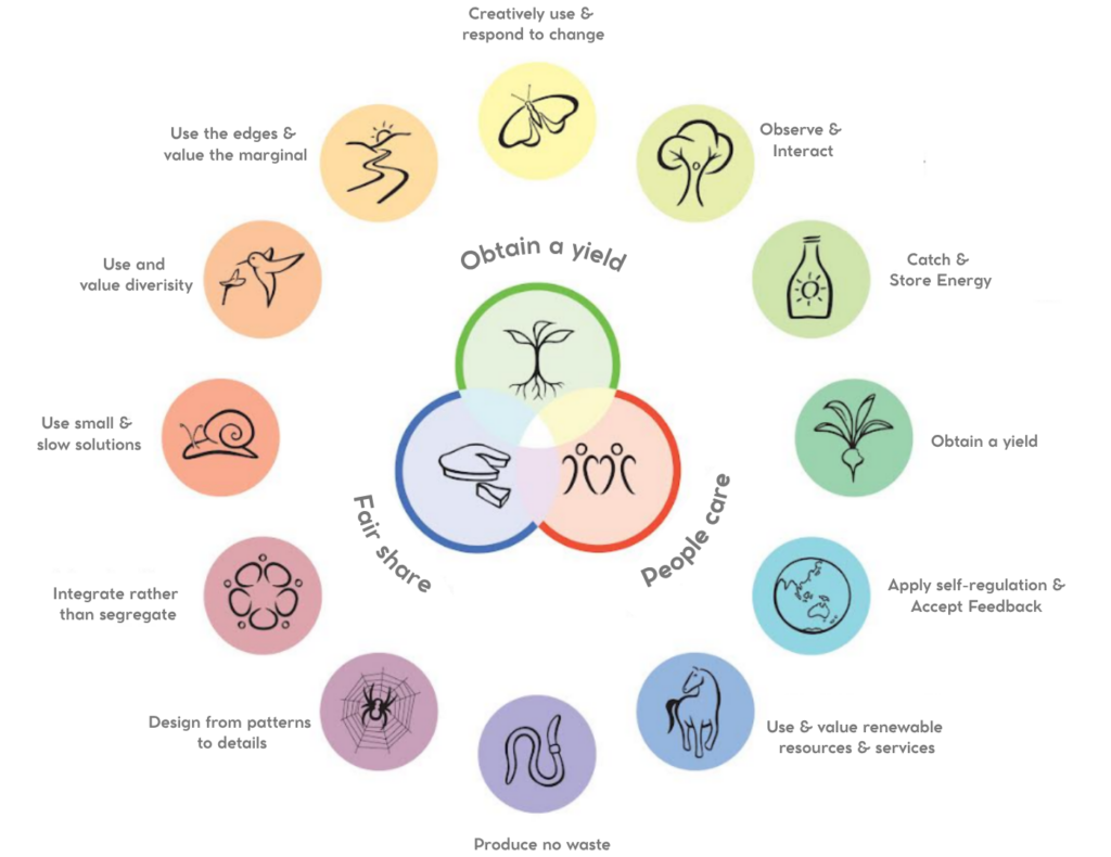 Infographic explaining the definition of permaculture at an eco farm in Brazil where volunteers learn sustainable agriculture and regenerative farming.