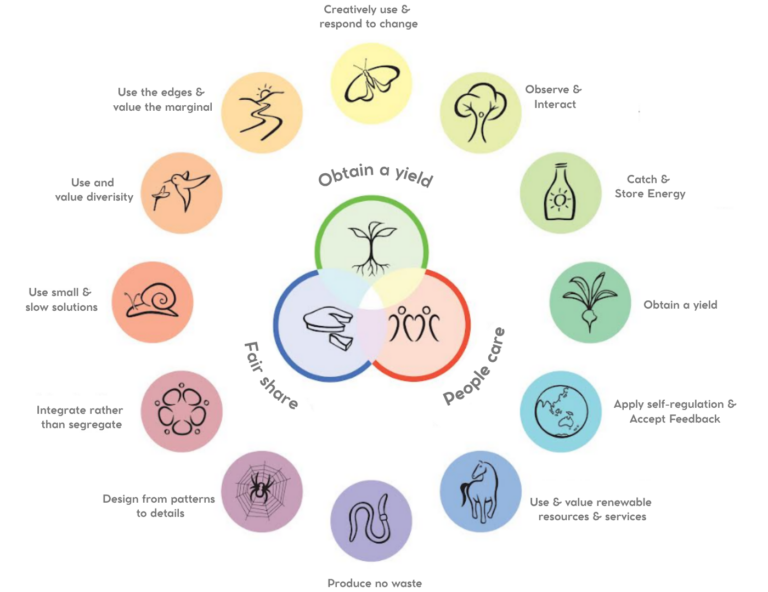 Infographic explaining the definition of permaculture at an eco farm in Brazil where volunteers learn sustainable agriculture and regenerative farming.