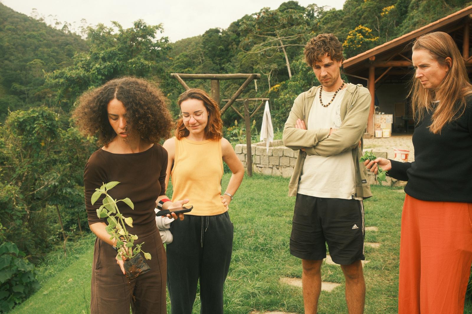 Volunteers learning about edible plants during a permaculture volunteer program at an eco farm in Brazil.