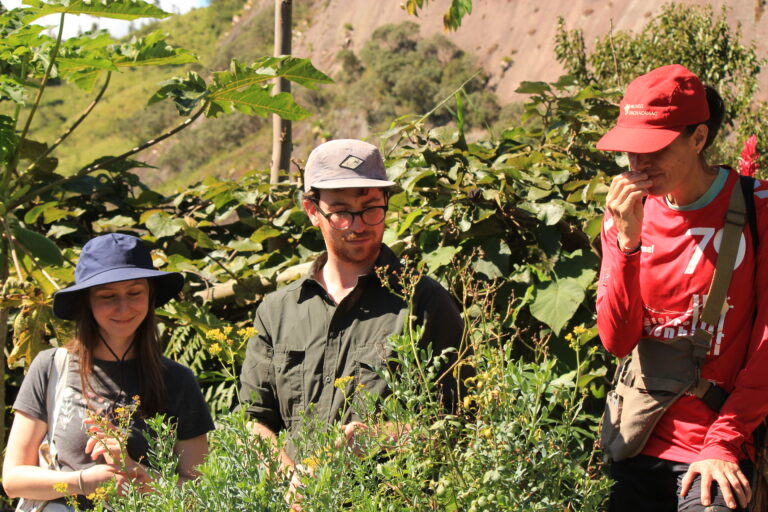 Volunteers in Agroforestry learning about botany