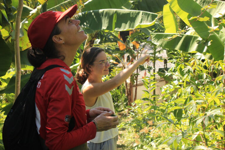 International volunteers exploring an agroforestry system at a permaculture farm in Brazil during an educational visit