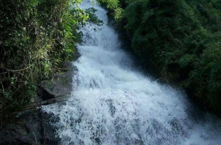 Water Treatment Education at Eco Caminhos