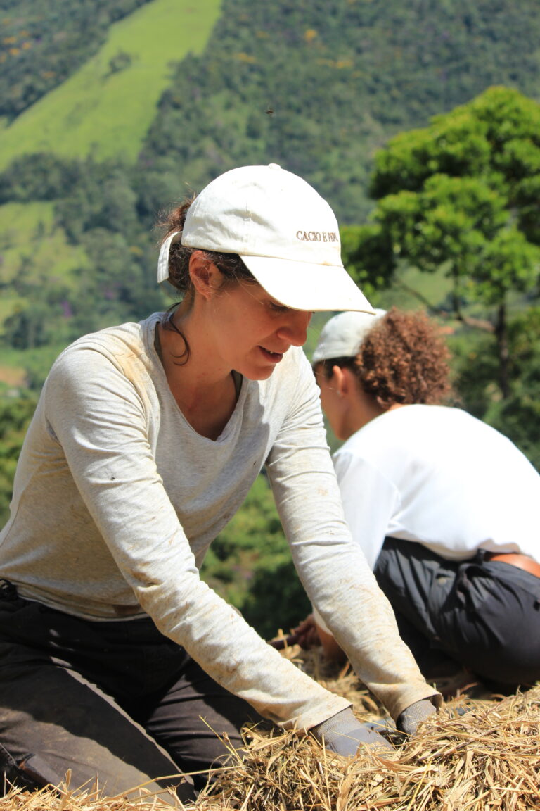 Volunteer working in agroforestry planting