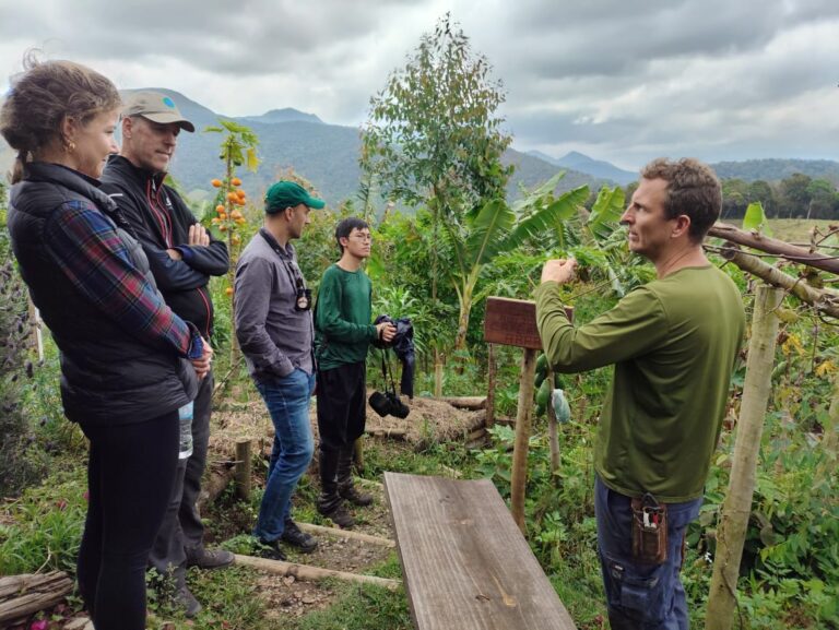 Eco Caminhos director and international volunteers exploring an agroforestry system at a permaculture farm in Brazil.