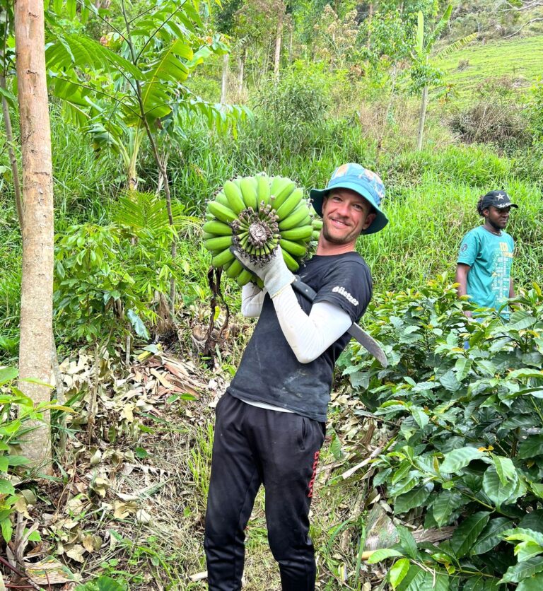 Happy volunteer carrying organic bananas at a permaculture farm Brazil eco farm experience