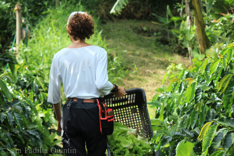 Women Volunteers in the Organic Garden