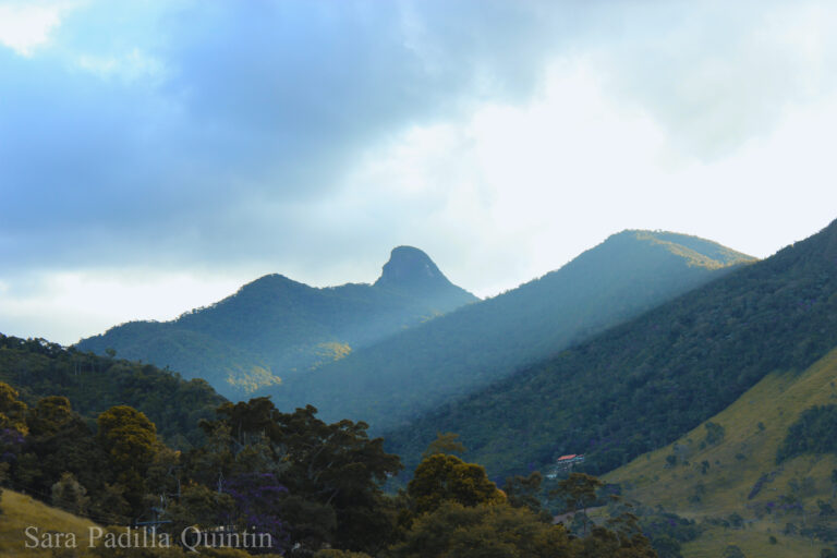 Mountains of Nova Friburgo, Brazil
