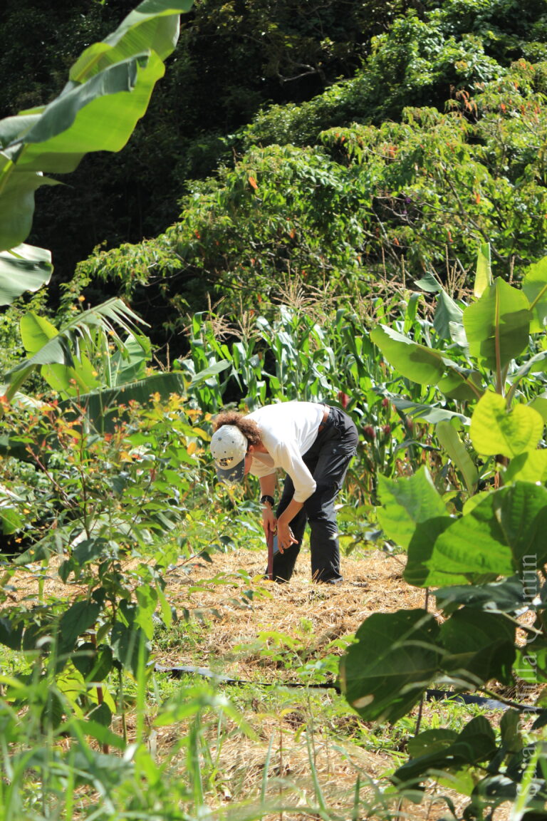 Family Visiting Eco Farm Brazil