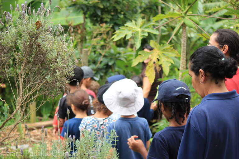 School Group Exploring Eco Farm