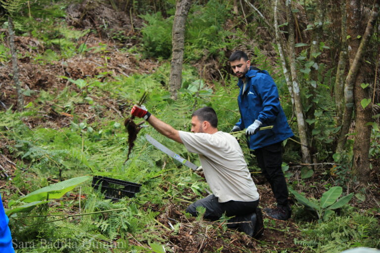 Planting in an Agroforestry System
