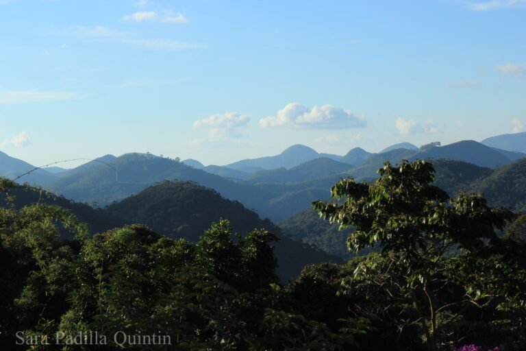 Atlantic Forest Mountain Landscape