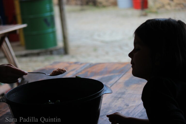 Child Learning Sustainable Cooking
