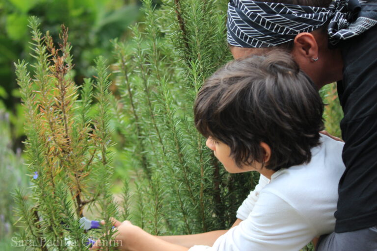 Child Learning About Plants