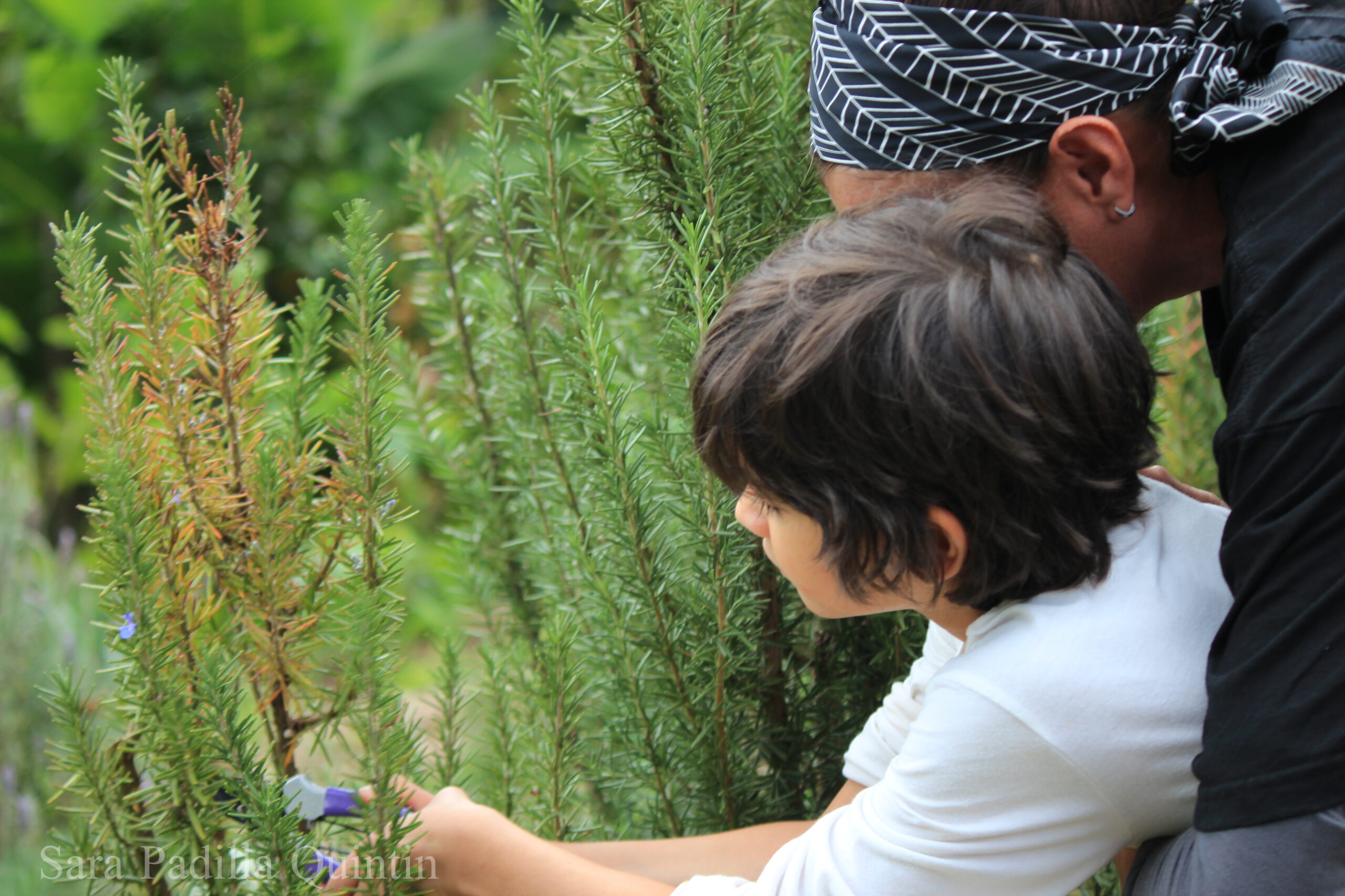 Child Learning About Plants