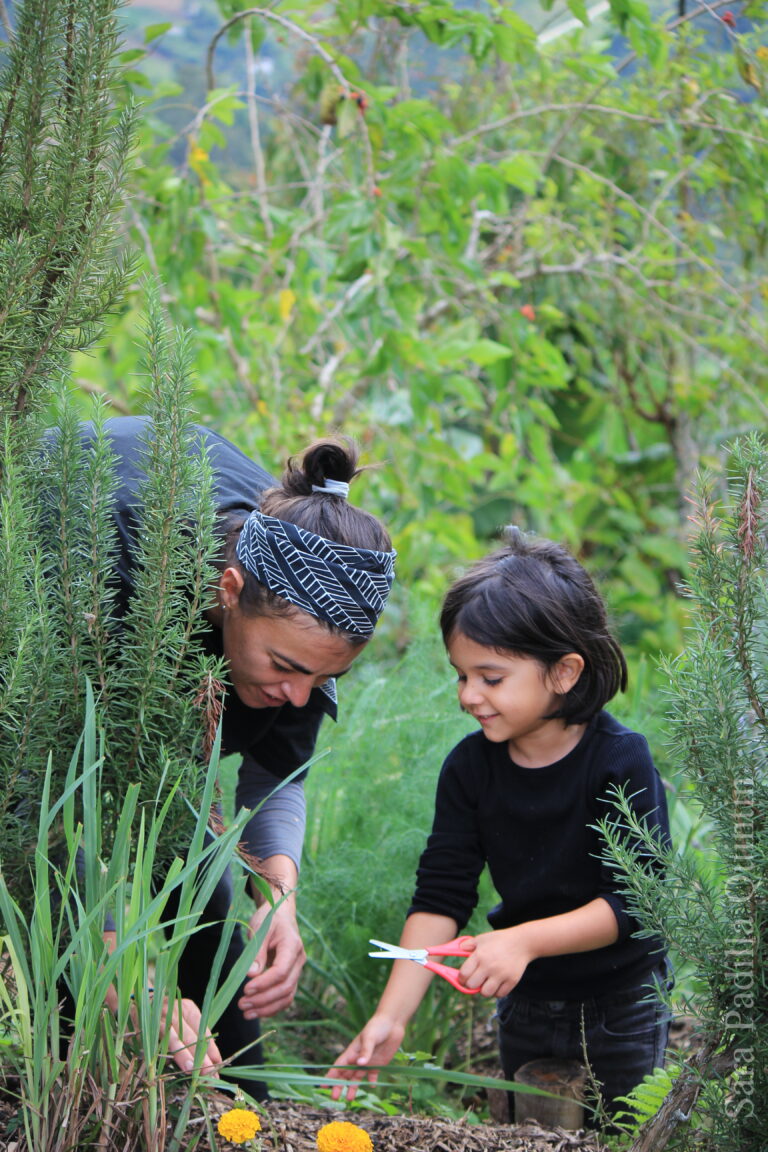 Volunteer and Child Harvesting Flowers