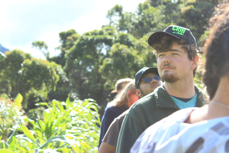 Group exploring plants and learning about nature during an Eco Caminhos tour.