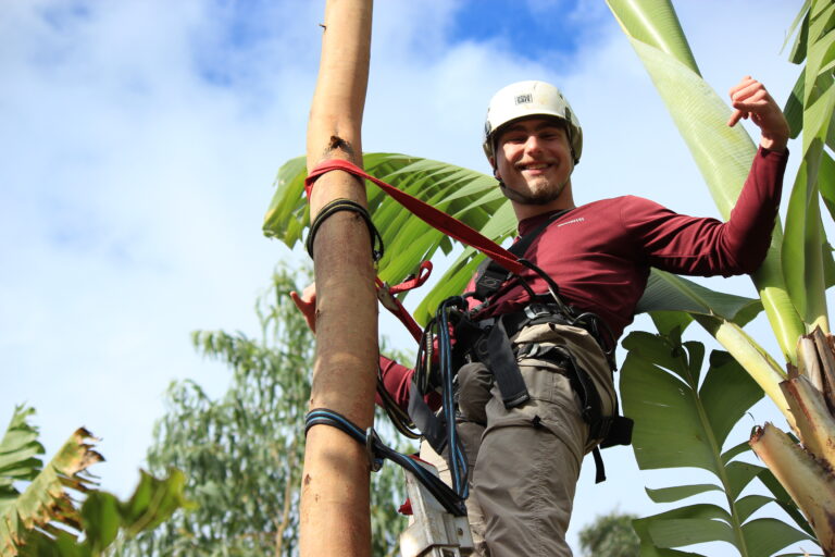 Participant climbing a tree using safety equipment at Eco Caminhos.