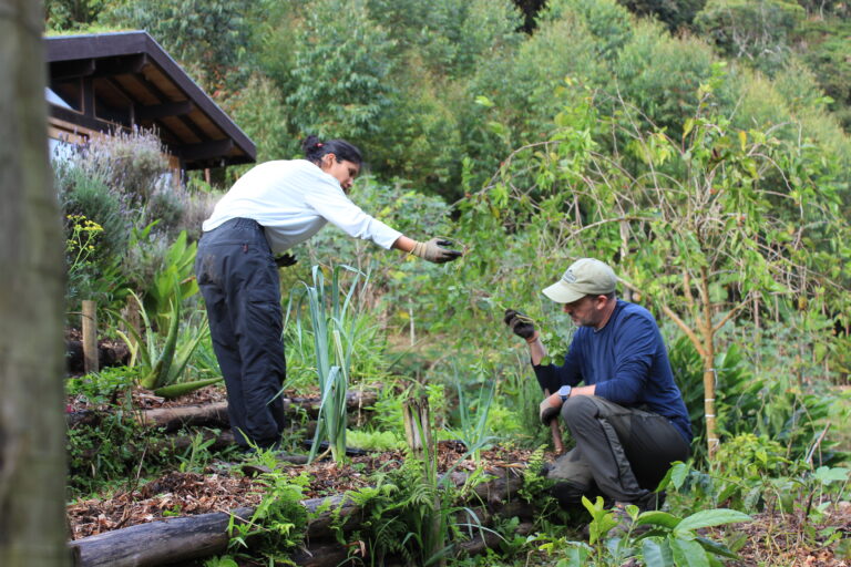 Couple planting native trees in an agroforestry system at a permaculture farm in Brazil.