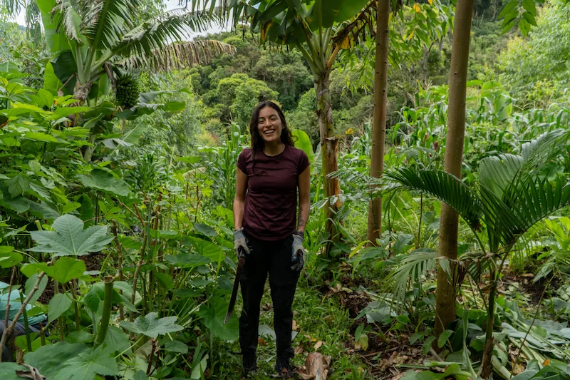 Happy volunteers working in an agroforestry system on a permaculture farm in Brazil.