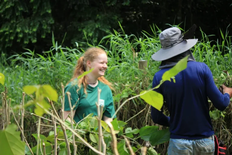 Volunteers enjoying teamwork while planting and maintaining an agroforestry system on a sustainable farm in Brazil.