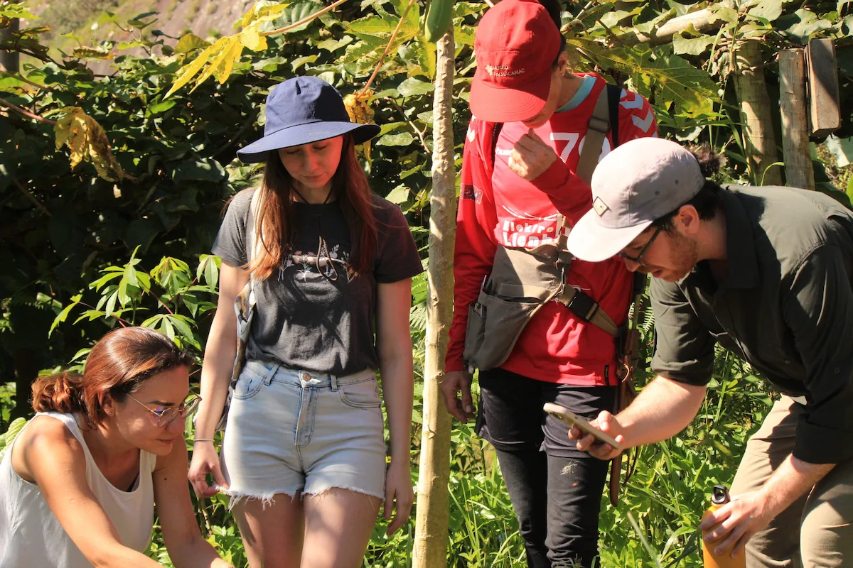 Volunteers exploring medicinal and edible plants during a guided permaculture farm tour in Brazil.
