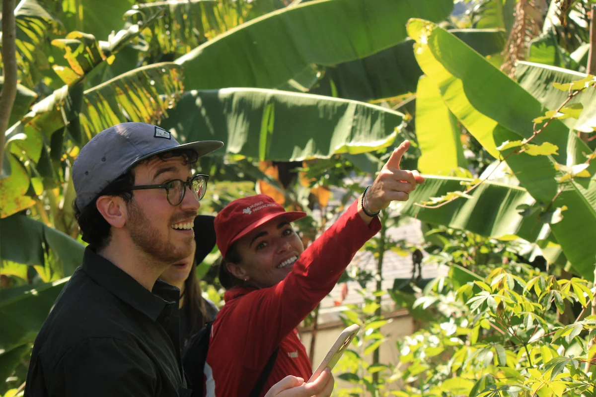 Volunteers exploring biodiversity and native ecosystems during a guided nature walk on a permaculture farm in Brazil.