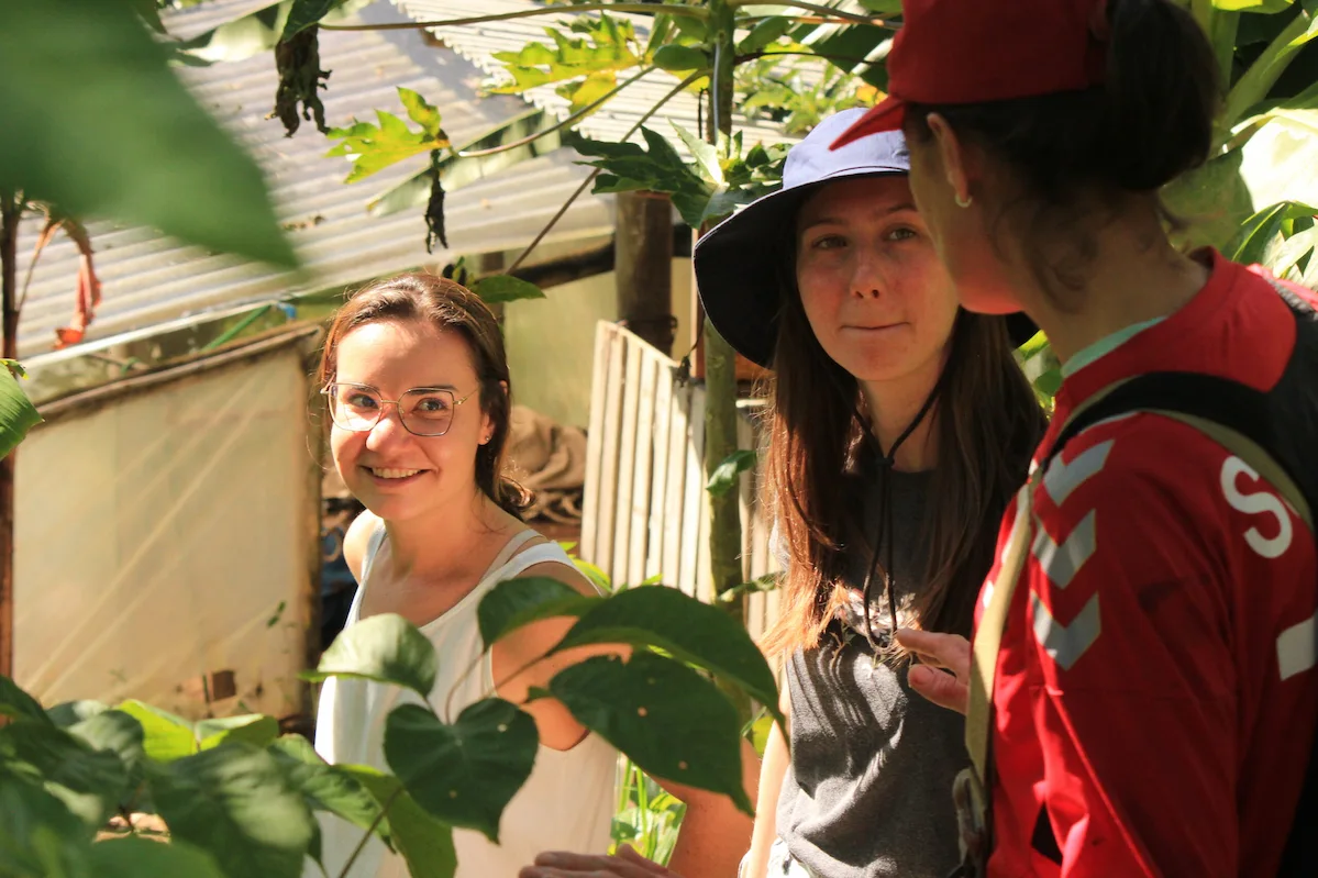 Interns taking a tour in Agroforest in Brazil