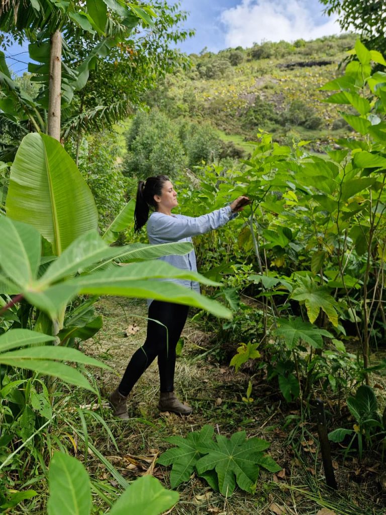 A young woman standing in a lush garden, reaching out to tend to tall green plants.
